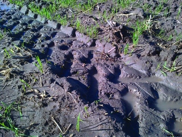 zimmatic-radial-tire-wheel-track